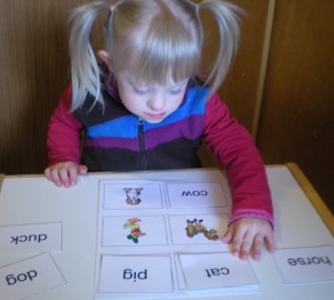 Ava, a Great Non-Verbal Reader